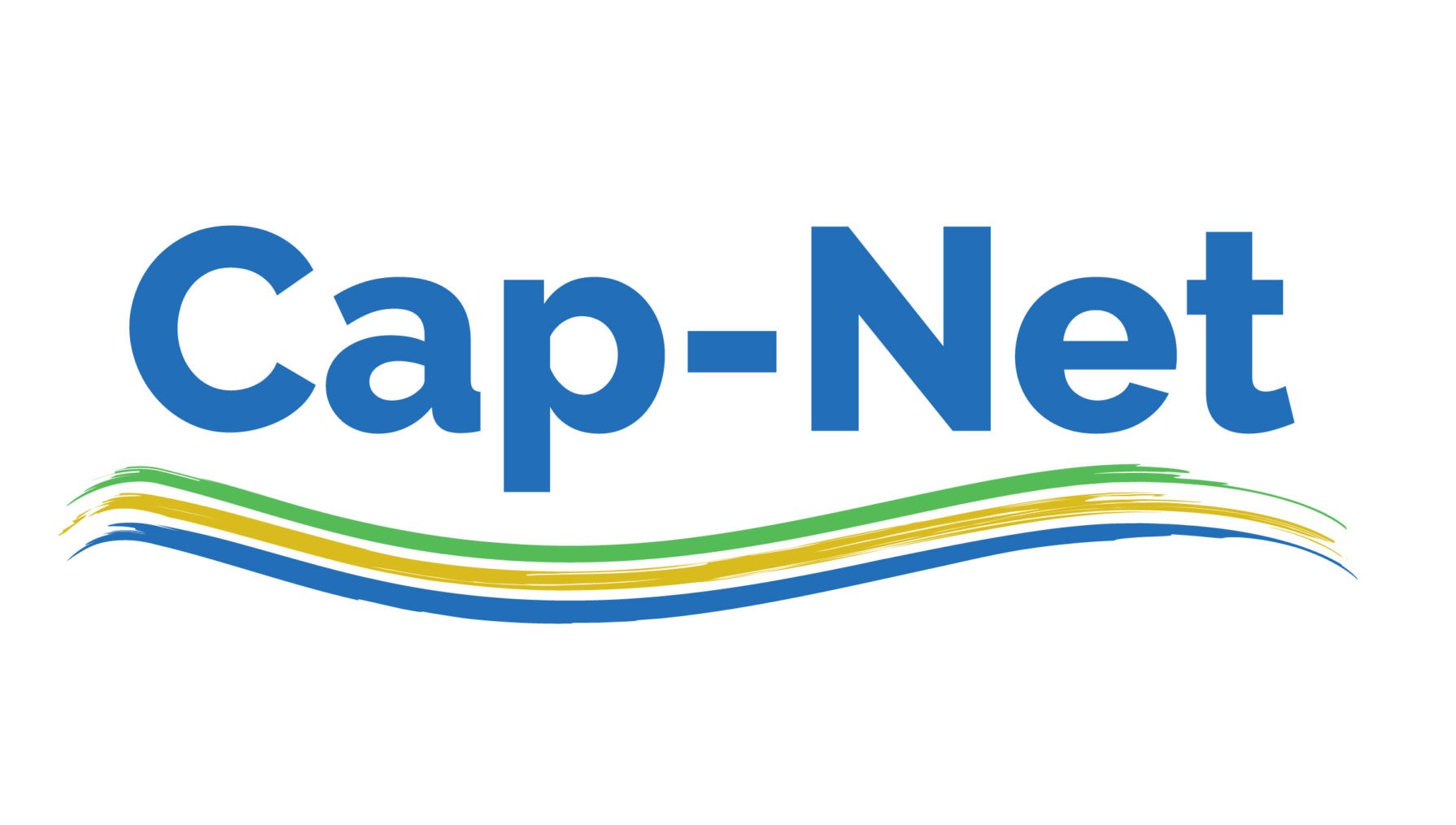 Cap net logo